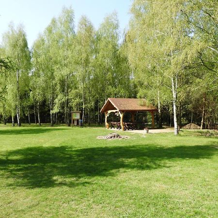 Villa Dom Nasutów Niemce Exterior foto