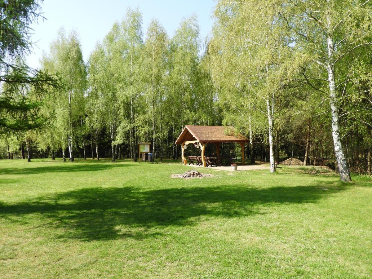 Villa Dom Nasutów Niemce Exterior foto